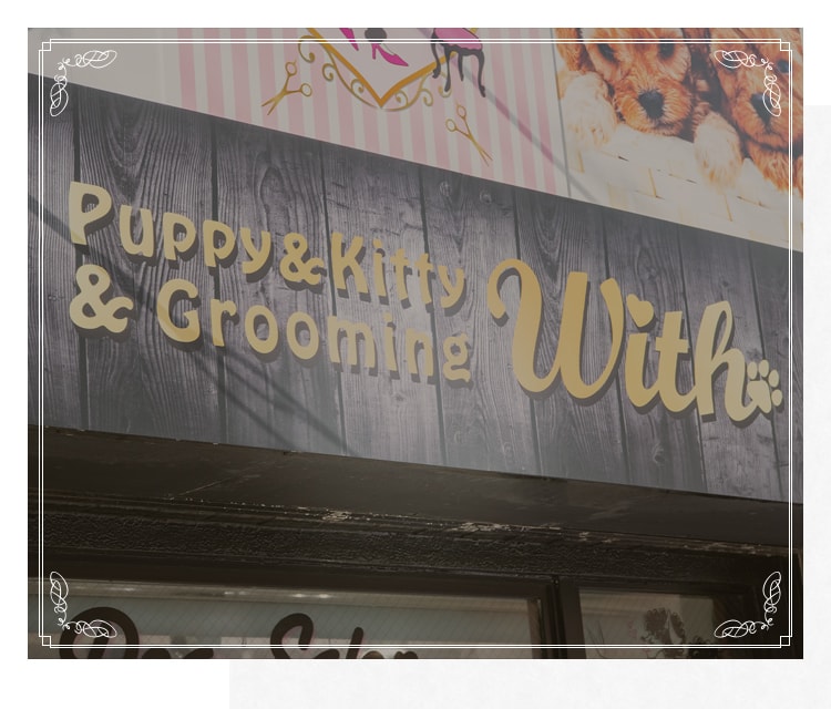 Puppy＆Kitty＆Grooming With